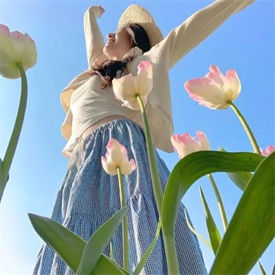 谎言之谷国语